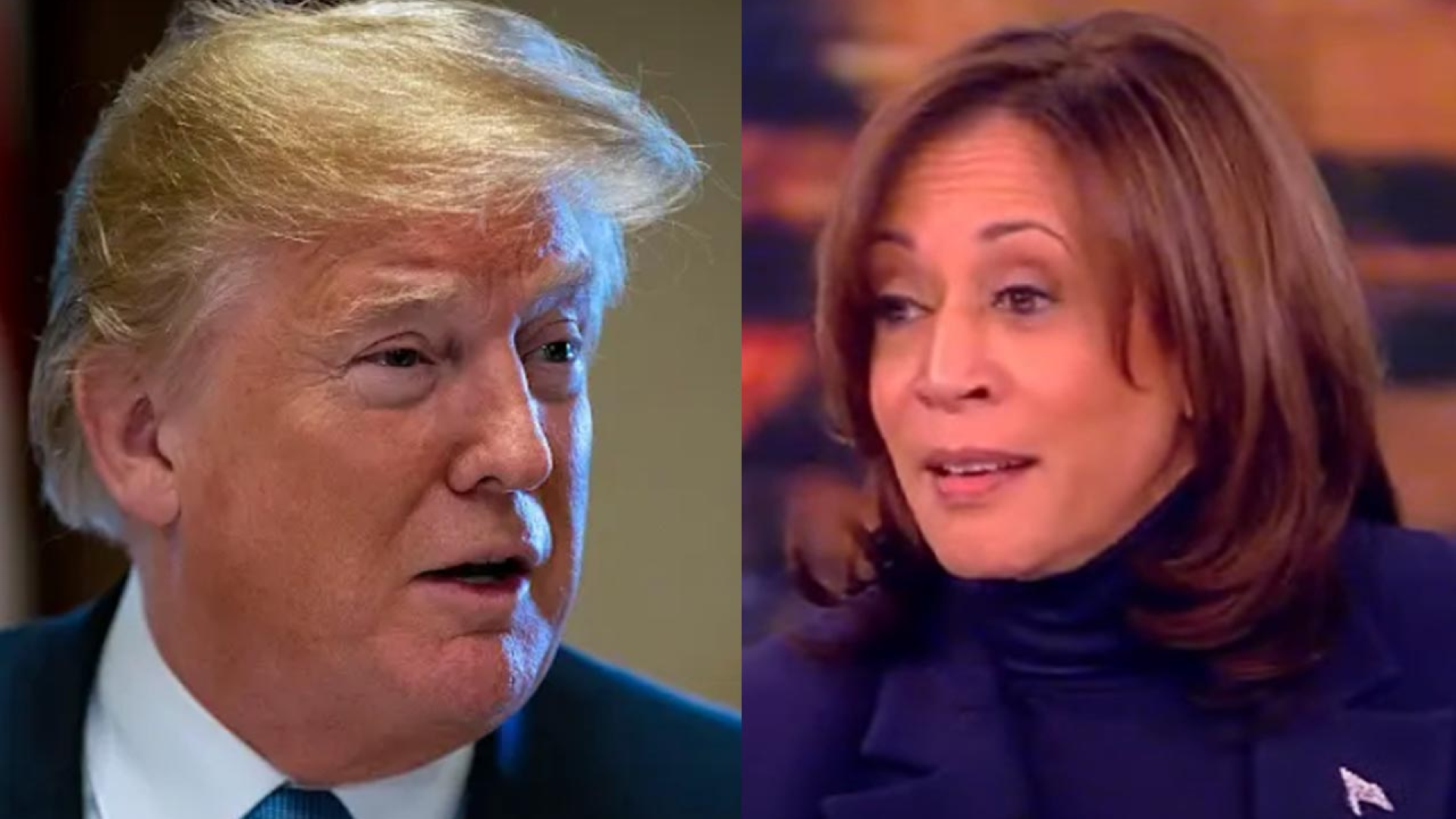 Vice President Kamala Harris said on ABC's 