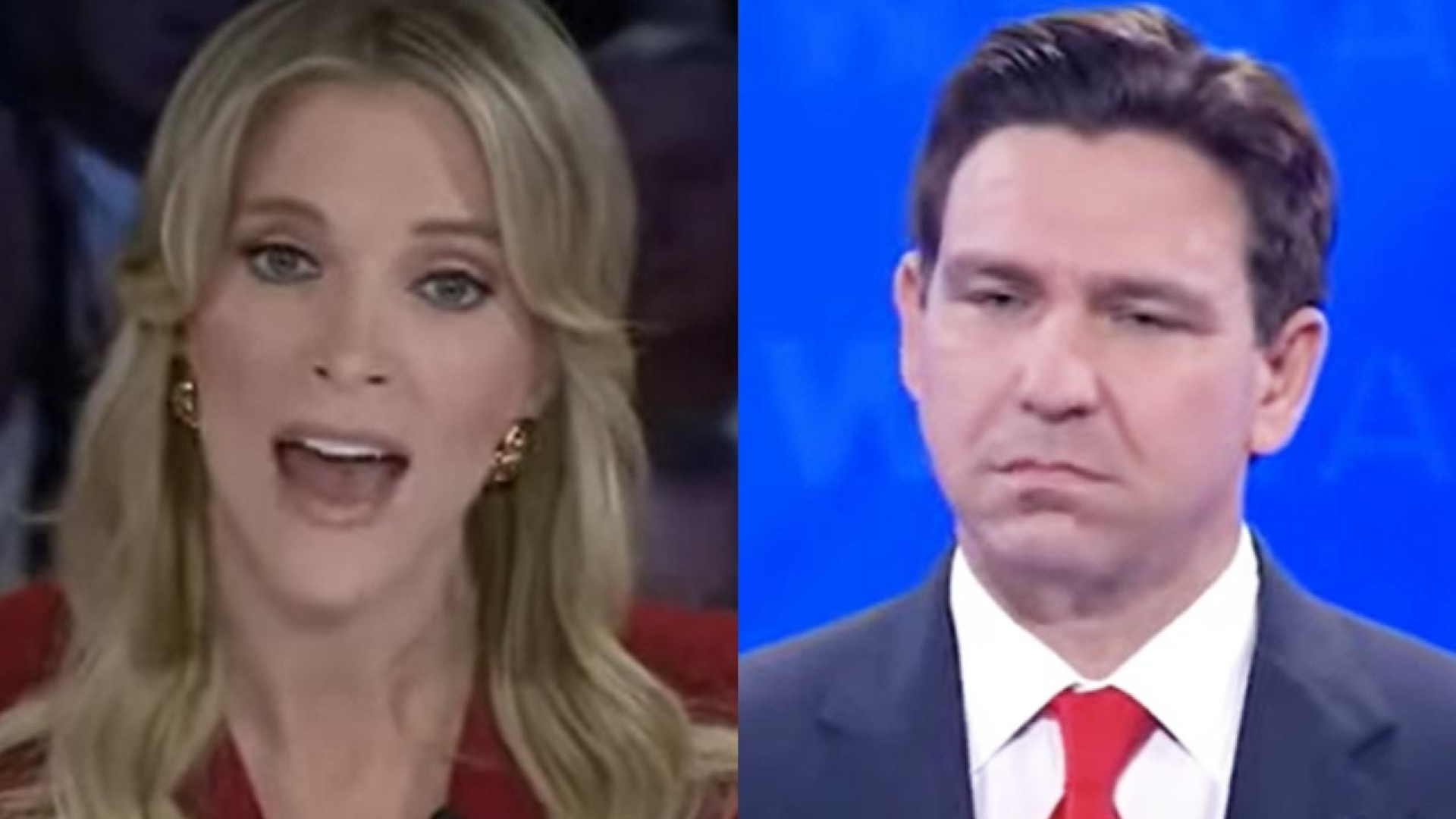 Megyn Kelly's co-host commented that Ron DeSantis made a face like some ...